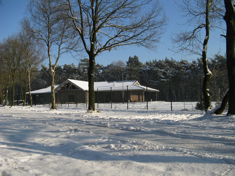 meerberg-in-de-sneeuw